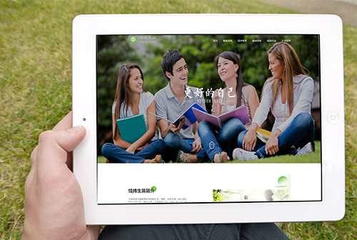 �̽���γ����